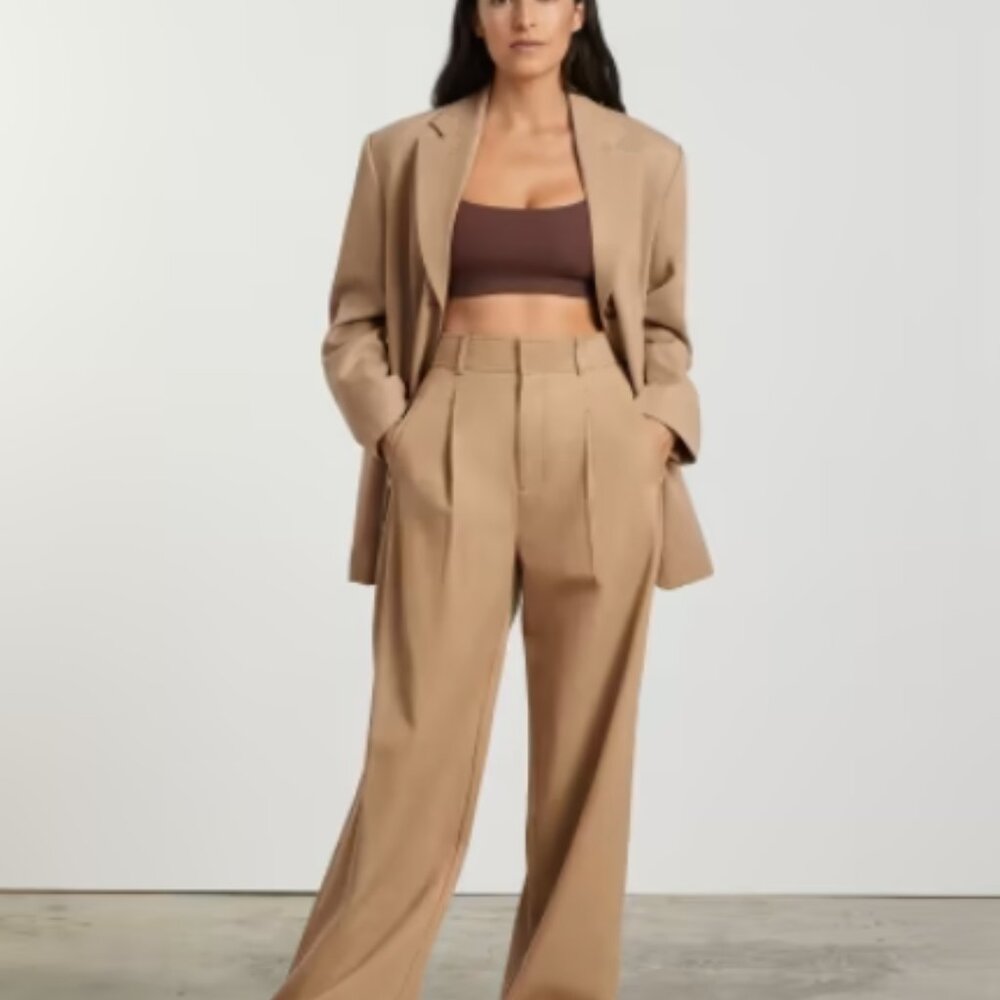 EVERLANE The Way-High® Drape Pant Size 14 Ash brown 30 inseam